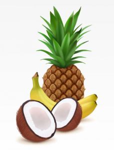 Ananas, babana and coconut fruit high detailed vector