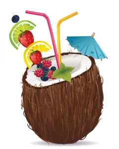 Half coconut fruit with umbrella high detailed vector