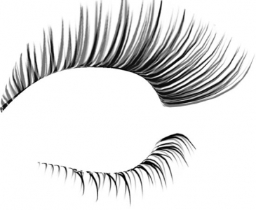 Eyelash photoshop template