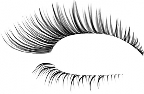 Eyelash photoshop model