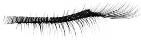 Eyelash photoshop template