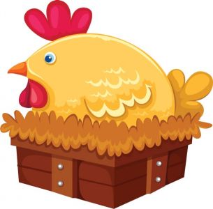 Chicken vector cartoon