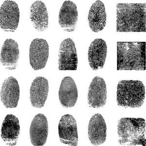 Fingerprint vector design