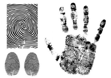 Fingerprint vector models