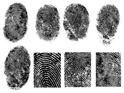 Fingerprint vector