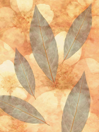 Flowers and leaves backgrounds