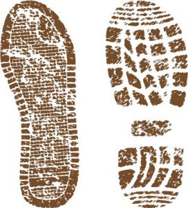Footwear shoe prints vectors