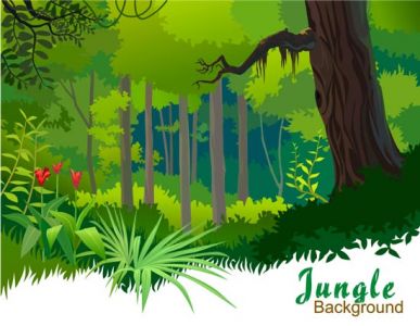 Forest and jungle landscapes vector