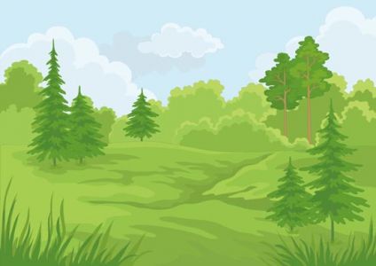 Forest and jungle landscapes vector