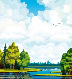 Forest and jungle landscapes vector