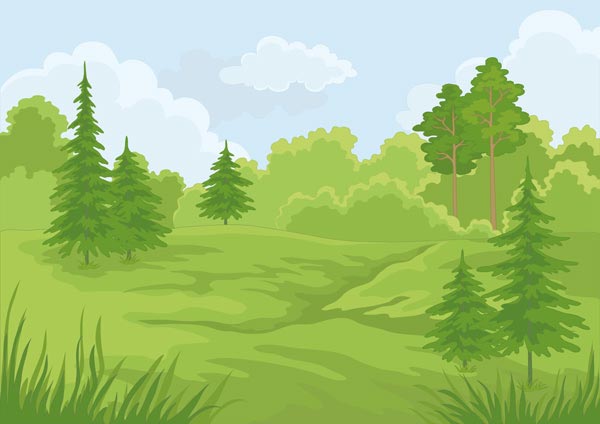 Forest landscapes vector illustrations