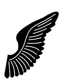 Wings design in vector format