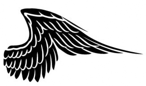 Free vector wing