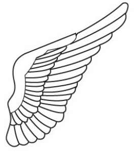 Free vector wing