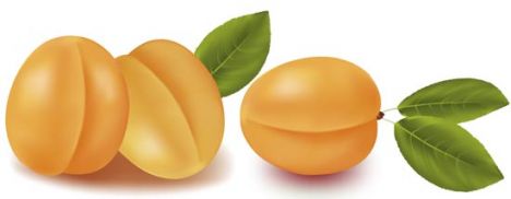 Fresh apricots vector design