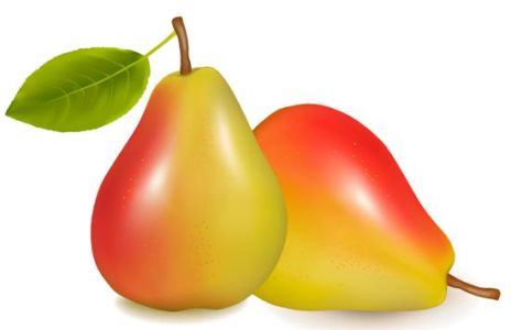 Fresh pear vector design