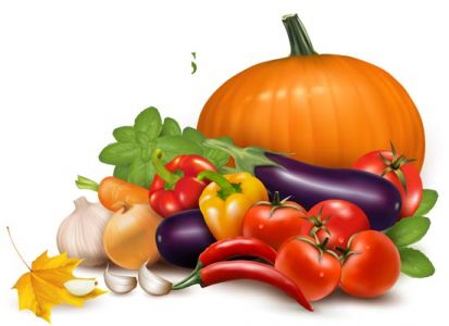 Fresh vegetables vector collection