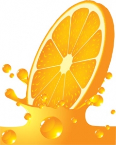 Lemon vector template