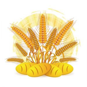 Golden wheat vectors