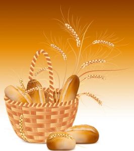 Golden wheat vectors