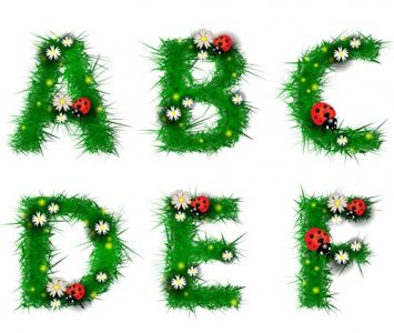 Grass alphabet letters vector