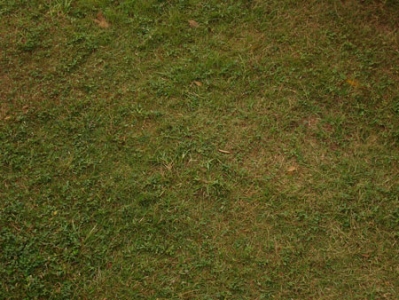 Grass textures background