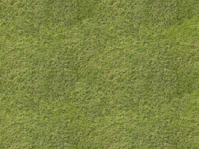 Grass textures background