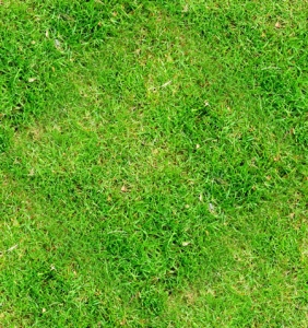 Grass textures background