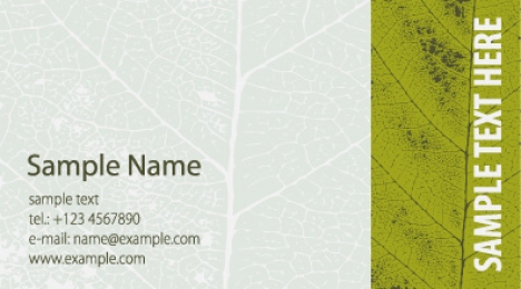 Business cards vector models