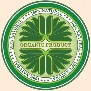 Green eco label vector design