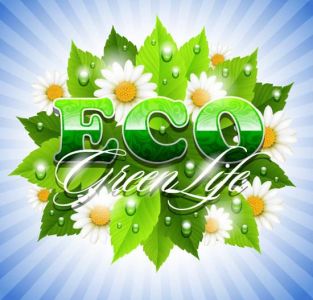 Green eco vector templates