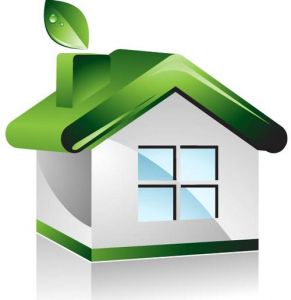 Green house vector