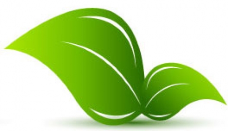 Green environmental icon