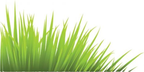 green-grass-vector-template3