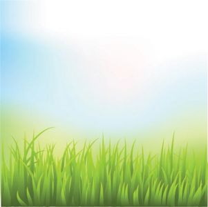 green-grass-vector-template5