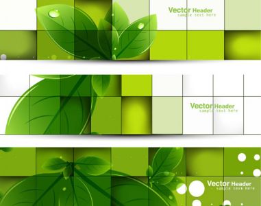 Green leaves vector banners