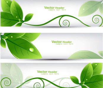 Green leaves vector banners