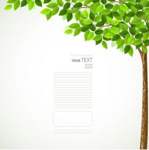 Green spring tree vector