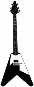 Guitar vector model