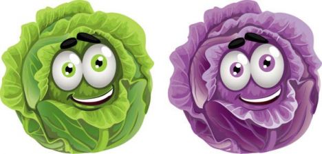 Happy vegetables cartoon vectors