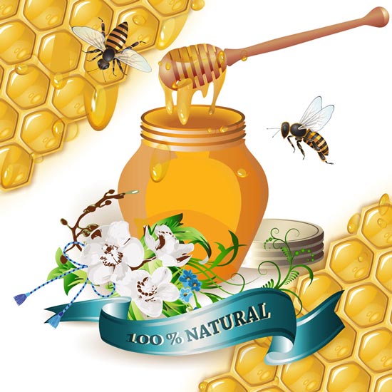 Download Honey cups and bees vectors