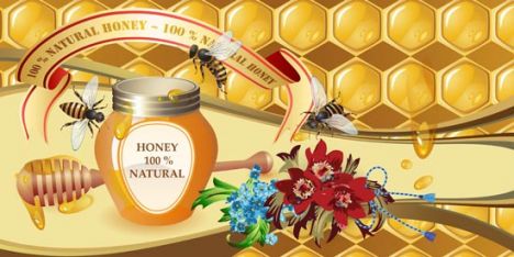 Honey cups and bees vectors