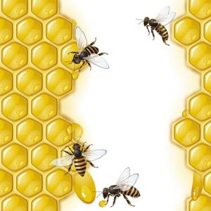 Honey cups and bees vectors