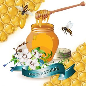 Honey cups and bees vectors