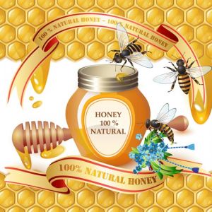 Honey cups and bees vectors