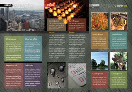 Indesign A4 tri-fold brochure