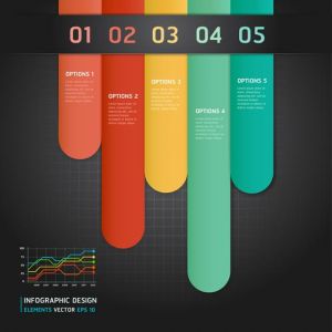 Infographics option labels vector