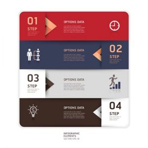 Infographics option labels vector