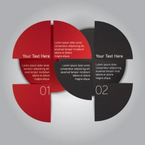 Infographics pie chart label vector