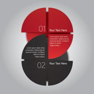 Infographics pie chart label vector